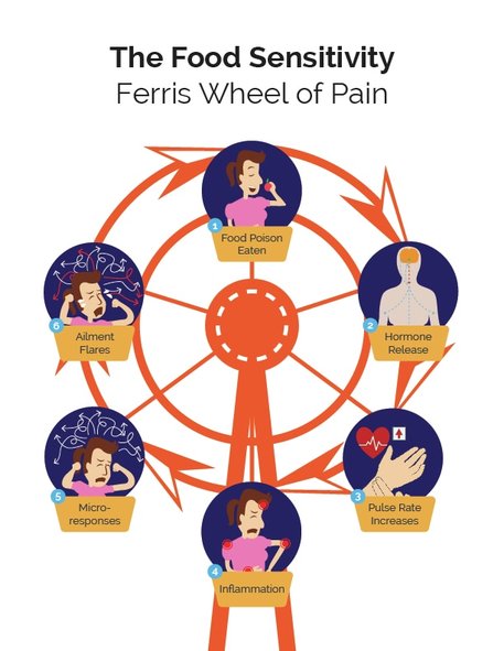 Ferris Wheel of Pain: GuideDogData.com